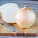 onion, onion skin, onion layer, transparent onion