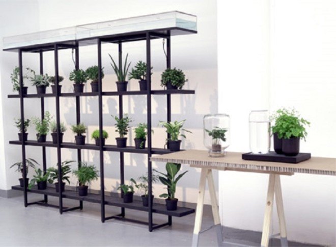 self watering, vertical gardening, self watering design, Pikaplant, indoor gardening