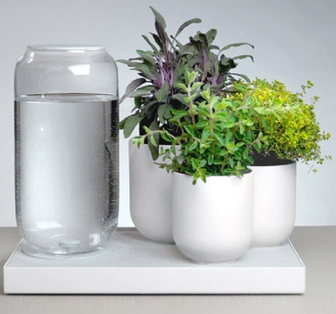 self watering, Pikaplant, self watering design, green design, Pikaplant Tableau