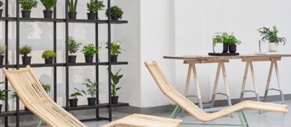 Pikaplant, self watering, plant technology, self watering plants, self watering design