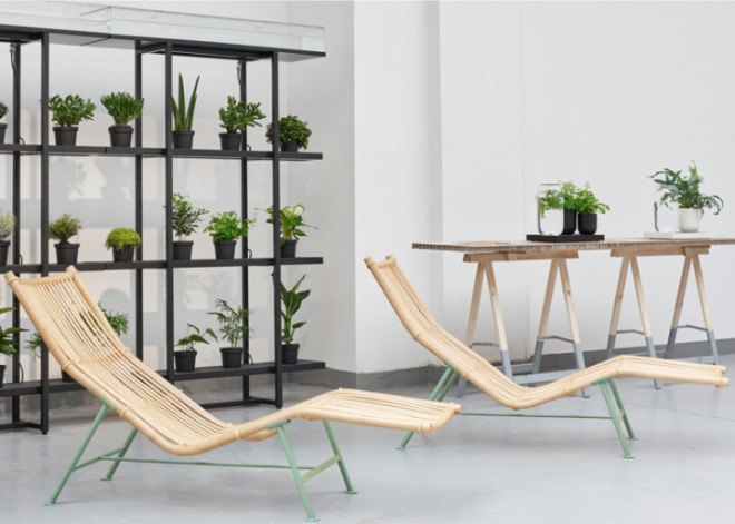 Pikaplant, self watering, plant technology, self watering plants, self watering design