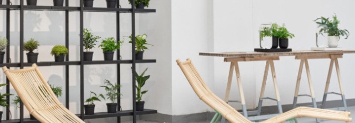 Pikaplant, self watering, plant technology, self watering plants, self watering design