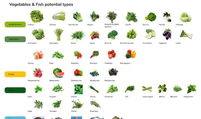 Smart floating farms, hydroponics, Forward thinking architecture, aquaculture, solar energy, modules, modular architecture, floating farms, solar powered farm, alternative farming, food security,