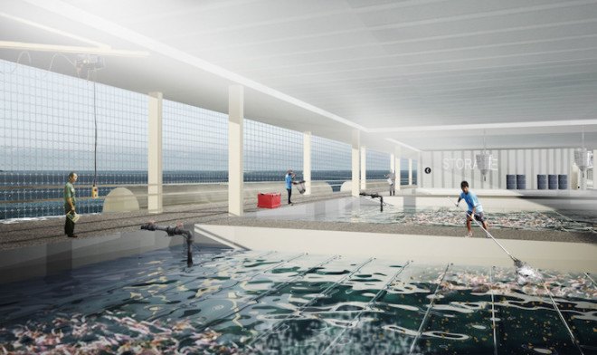 Smart floating farms, hydroponics, Forward thinking architecture, aquaculture, solar energy, modules, modular architecture, floating farms, solar powered farm, alternative farming, food security,