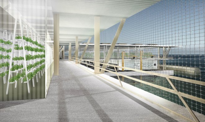 Smart floating farms, hydroponics, Forward thinking architecture, aquaculture, solar energy, modules, modular architecture, floating farms, solar powered farm, alternative farming, food security,