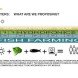 Smart floating farms, hydroponics, Forward thinking architecture, aquaculture, solar energy, modules, modular architecture, floating farms, solar powered farm, alternative farming, food security,