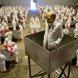 Isaac Cordal, The School, art installation, university, industrialized education, industrialized learning, capitalism in universities, for profit university