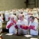 Isaac Cordal, The School, art installation, university, industrialized education, industrialized learning, capitalism in universities, for profit university