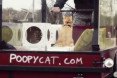 poopy cat, thomas vles, mushi and cheesy, amsterdam to london, bike amsterdam to london, cats on bike trip, cats on bike ride, bike ride stunt, uk launch poopy cat, recycled litterboxes, disposable litterboxes, recycled cat playhouses, modular cat playhouses, modular kitty playhouses, recycled kitty playhouses