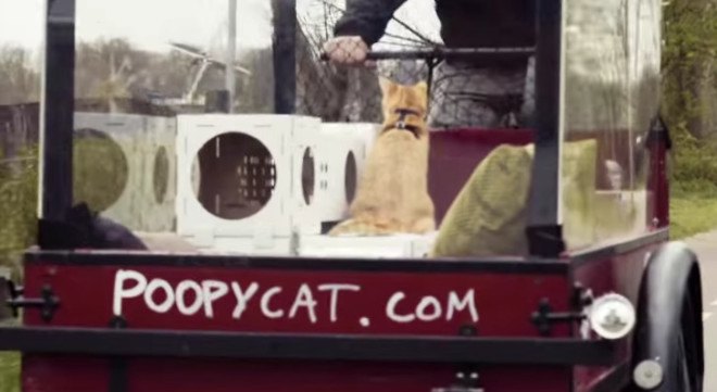 poopy cat, thomas vles, mushi and cheesy, amsterdam to london, bike amsterdam to london, cats on bike trip, cats on bike ride, bike ride stunt, uk launch poopy cat, recycled litterboxes, disposable litterboxes, recycled cat playhouses, modular cat playhouses, modular kitty playhouses, recycled kitty playhouses