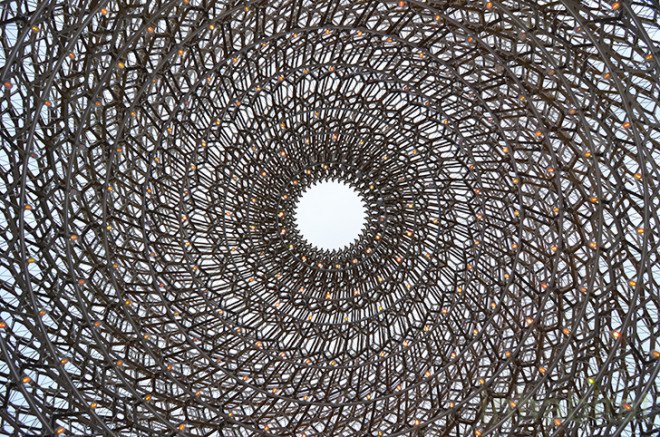 UK pavilion, The Hive, Grown in Britain and Northern Ireland, Milan Expo, green design, sustainable design, eco-design, food security, biodiversity, Feeding the Planet Energy for Life, Italy, bees, colony collapse disorder, bee hive, Milan Expo 2015