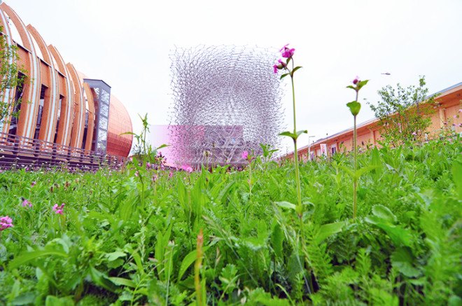 UK pavilion, The Hive, Grown in Britain and Northern Ireland, Milan Expo, green design, sustainable design, eco-design, food security, biodiversity, Feeding the Planet Energy for Life, Italy, bees, colony collapse disorder, bee hive, Milan Expo 2015