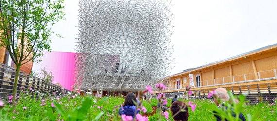 UK pavilion, The Hive, Grown in Britain and Northern Ireland, Milan Expo, green design, sustainable design, eco-design, food security, biodiversity, Feeding the Planet Energy for Life, Italy, bees, colony collapse disorder, bee hive, Milan Expo 2015