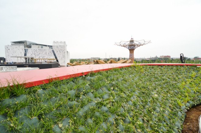 World Expo, Milan Expo, World Expo 2015, 2015 Milan Expo, China, Vanke, Milan Expo 2015, red ceramic tiles, Daniel Libeskind, Casalgrande Padana, self-cleaning tiles, rooftop terrace, green design, Italy, sustainable design, green architecture, Italy