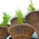 World expo, Milan world expo, 2015 Milan Expo, World Expo 2015, Milan Expo 2015, Milan, Italy, green design, sustainable design, feeding the planet, energy for life, bamboo, lotus pods, Vietnam, photos, food waste, sustainable food, green architecture