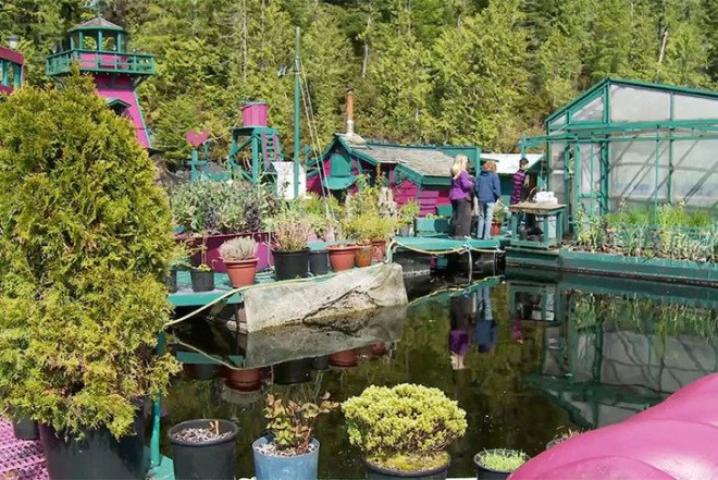 Wayne Adams, Catherine King, Freedom Cove, self-sufficient floating island, Vancouver Island, British Columbia