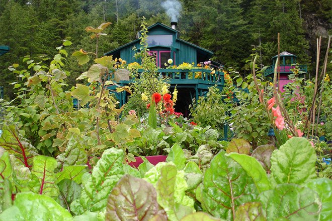 Wayne Adams, Catherine King, Freedom Cove, self-sufficient floating island, Vancouver Island, British Columbia