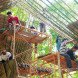 Atelier COLE, tensegrity, moon bear, Asiatic black bear, Laos, Bamboo trees, rainwater collection, Building Trust, Tat Kuang Si Park, bamboo, Free the Bears, Khmu,