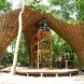 Atelier COLE, tensegrity, moon bear, Asiatic black bear, Laos, Bamboo trees, rainwater collection, Building Trust, Tat Kuang Si Park, bamboo, Free the Bears, Khmu,