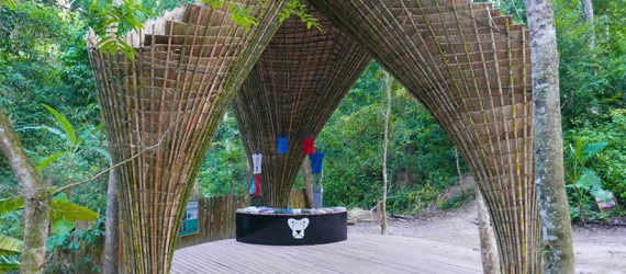 Atelier COLE, tensegrity, moon bear, Asiatic black bear, Laos, Bamboo trees, rainwater collection, Building Trust, Tat Kuang Si Park, bamboo, Free the Bears, Khmu,
