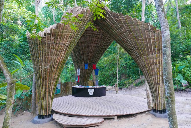 Atelier COLE, tensegrity, moon bear, Asiatic black bear, Laos, Bamboo trees, rainwater collection, Building Trust, Tat Kuang Si Park, bamboo, Free the Bears, Khmu,