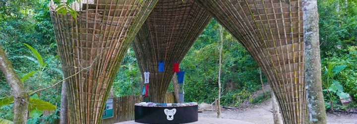 Atelier COLE, tensegrity, moon bear, Asiatic black bear, Laos, Bamboo trees, rainwater collection, Building Trust, Tat Kuang Si Park, bamboo, Free the Bears, Khmu,