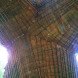 Atelier COLE, tensegrity, moon bear, Asiatic black bear, Laos, Bamboo trees, rainwater collection, Building Trust, Tat Kuang Si Park, bamboo, Free the Bears, Khmu,