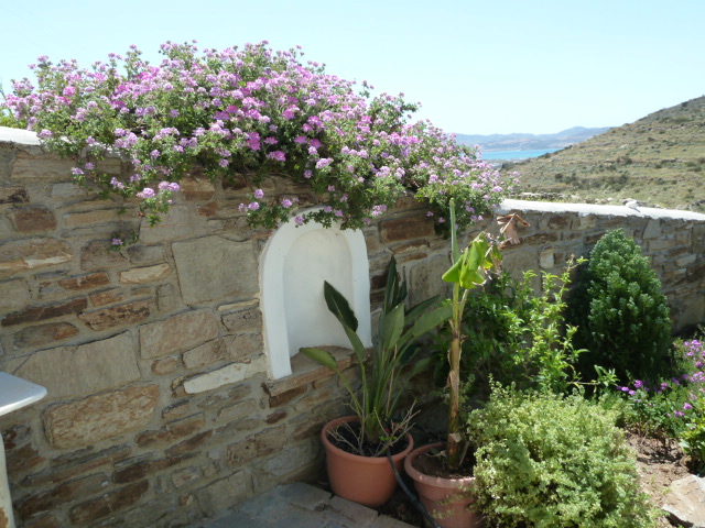 california drought, xeriscaping, sustainable gardening, drought-friendly gardening, landscape design, drought-friendly landscaping, cactus gardens, cacti, succulent garden, rock pavers, sagebrush, eco-friendly lawn alternatives, water-saving lawn alternatives, xeriscaping, landscaping, garden, drought, low water, sustainable, green, cactus, agave, desert