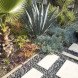 california drought, xeriscaping, sustainable gardening, drought-friendly gardening, landscape design, drought-friendly landscaping, cactus gardens, cacti, succulent garden, rock pavers, sagebrush, eco-friendly lawn alternatives, water-saving lawn alternatives, xeriscaping, landscaping, garden, drought, low water, sustainable, green, cactus, agave, desert