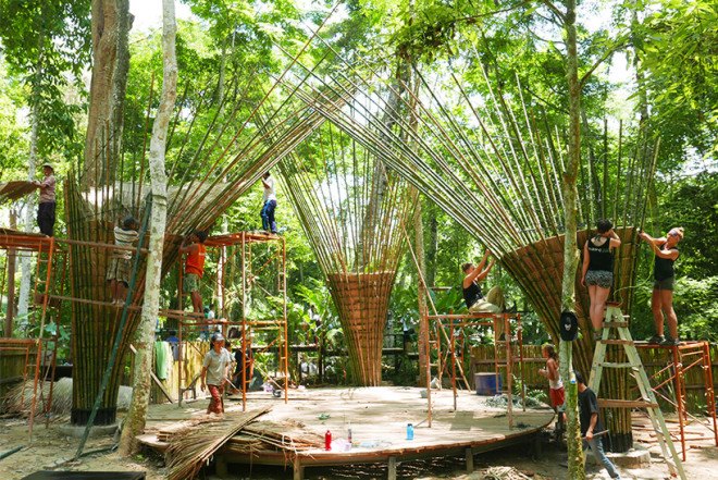 Atelier COLE, tensegrity, moon bear, Asiatic black bear, Laos, Bamboo trees, rainwater collection, Building Trust, Tat Kuang Si Park, bamboo, Free the Bears, Khmu,