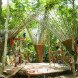 Atelier COLE, tensegrity, moon bear, Asiatic black bear, Laos, Bamboo trees, rainwater collection, Building Trust, Tat Kuang Si Park, bamboo, Free the Bears, Khmu,