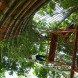 Atelier COLE, tensegrity, moon bear, Asiatic black bear, Laos, Bamboo trees, rainwater collection, Building Trust, Tat Kuang Si Park, bamboo, Free the Bears, Khmu,