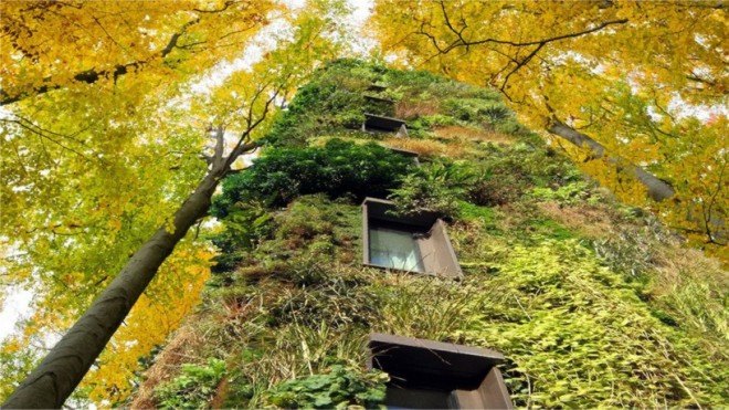 OAS1S, treescrapers, tree skyscrapers, forest-like communities, green living, green design, green architecture, living walls, vertical gardening, urban design, reader submission, architecture concepts, green living concept