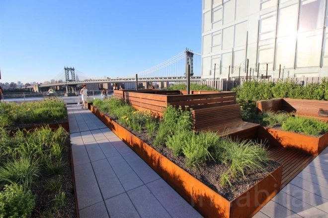 60 Water St. high line, Dumbo, green space, high line architecture, high line condos, high line news, James Corner Field Operations, 60 water street, Two Trees, Ismael Leyva, LEESER Architect, Thomas Leeser