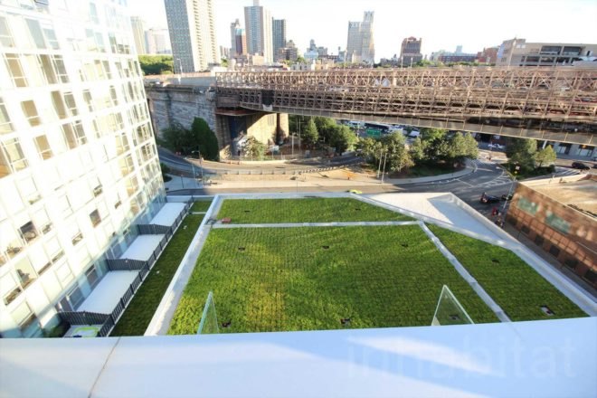 60 Water St. high line, Dumbo, green space, high line architecture, high line condos, high line news, James Corner Field Operations, 60 water street, Two Trees, Ismael Leyva, LEESER Architect, Thomas Leeser