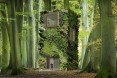 OAS1S, treescrapers, tree skyscrapers, forest-like communities, green living, green design, green architecture, living walls, vertical gardening, urban design, reader submission, architecture concepts, green living concept