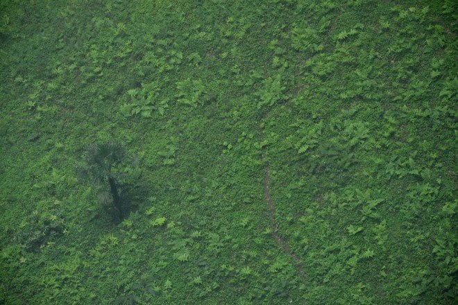 sinkhole, China sinkhole, Hubei sinkhole, karst landscape, karst, karst topography, limestone, Hubei, Xuanen county, limestone cavity, ecosystem, swallows, ferns,