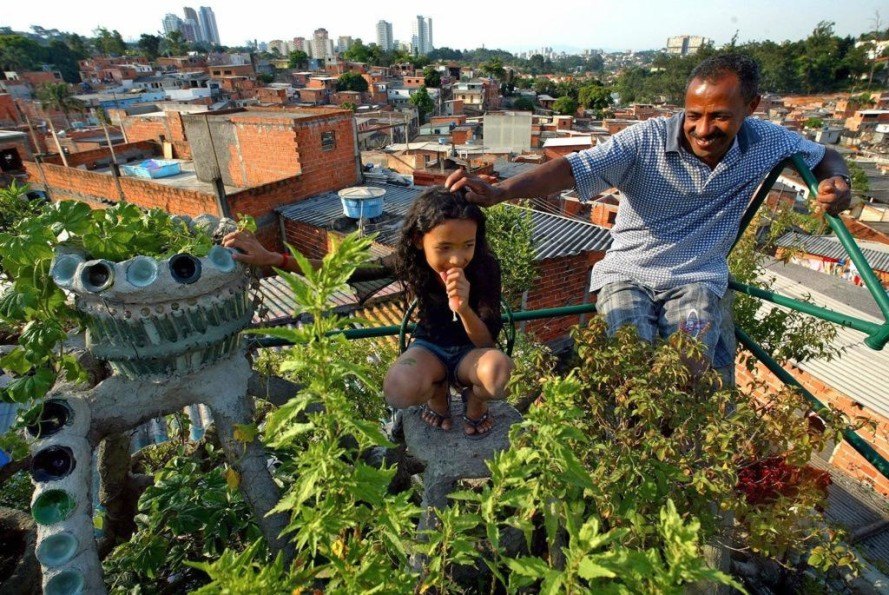 urban farming, Brazil, São Paulo, vacant lots, NGO, Cities Without Hunger, greenhouses, school gardens, local food, urban gardening, slums, NGO, Cities without Hunger, overpopulation, food scarcity,
