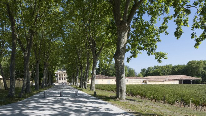 Foster + Partners, Château Margaux winery, winery, France, green renovation, natural light, pitched roof, vernacular architecture, green architecture, wine cellar