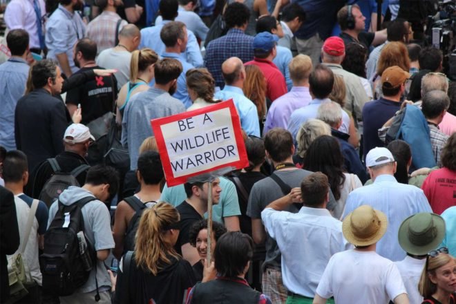 US Fish and Wildlife Service, ivory crush, times square, illegal ivory, end ivory, poaching, end poaching, save the elephants, ivory trafficking, wildlife trafficking