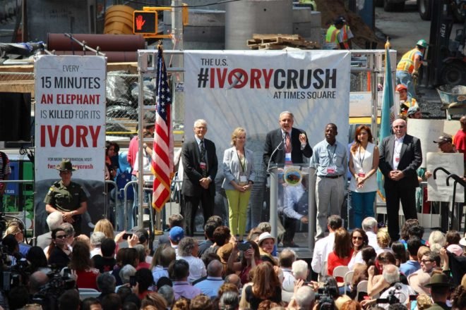 US Fish and Wildlife Service, ivory crush, times square, illegal ivory, end ivory, poaching, end poaching, save the elephants, ivory trafficking, wildlife trafficking
