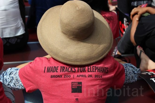 US Fish and Wildlife Service, ivory crush, times square, illegal ivory, end ivory, poaching, end poaching, save the elephants, ivory trafficking, wildlife trafficking