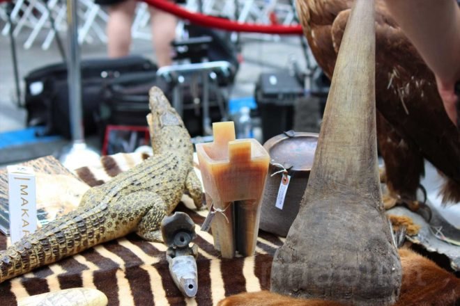 US Fish and Wildlife Service, ivory crush, times square, illegal ivory, end ivory, poaching, end poaching, save the elephants, ivory trafficking, wildlife trafficking