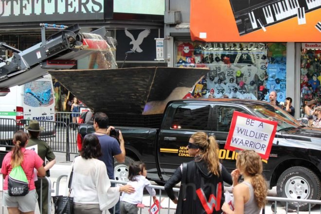US Fish and Wildlife Service, ivory crush, times square, illegal ivory, end ivory, poaching, end poaching, save the elephants, ivory trafficking, wildlife trafficking