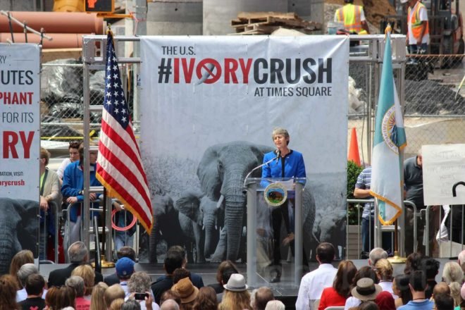 US Fish and Wildlife Service, ivory crush, times square, illegal ivory, end ivory, poaching, end poaching, save the elephants, ivory trafficking, wildlife trafficking