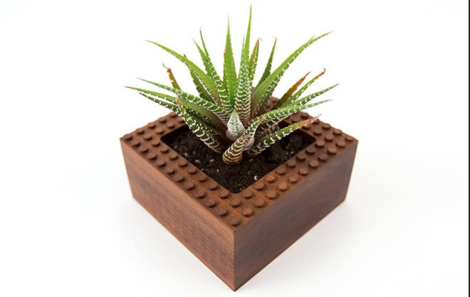 planters, NOTlabs, Plant Experiment, modular planters, green design, walnut, Notcot, modular design, Lego, Lego-like design, indoor plants, small plants, gardening