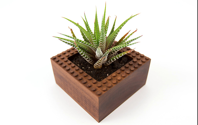 NOTlab founders design modular LEGO-like planters for succulents
