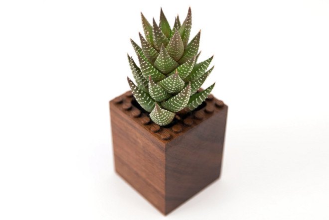 planters, NOTlabs, Plant Experiment, modular planters, green design, walnut, Notcot, modular design, Lego, Lego-like design, indoor plants, small plants, gardening