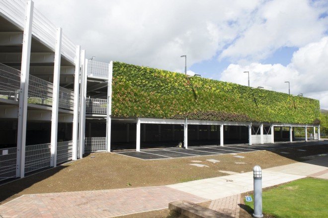 National Grid, National Grid House, Warwick, UK, Europe's largest living wall, One World Design, vertical garden, living wall, pollinators, birds, bees, green design, sustainable design, eco-design, LED lights, birds, bees,