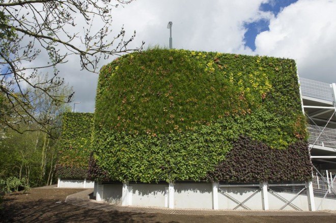 National Grid, National Grid House, Warwick, UK, Europe's largest living wall, One World Design, vertical garden, living wall, pollinators, birds, bees, green design, sustainable design, eco-design, LED lights, birds, bees,